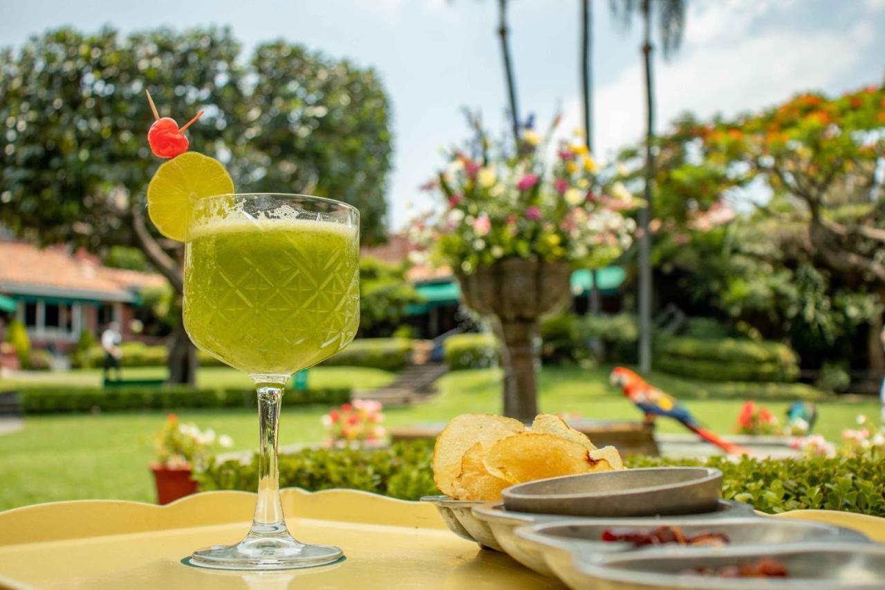 Las Mananitas Cuernavaca Zewnętrze zdjęcie