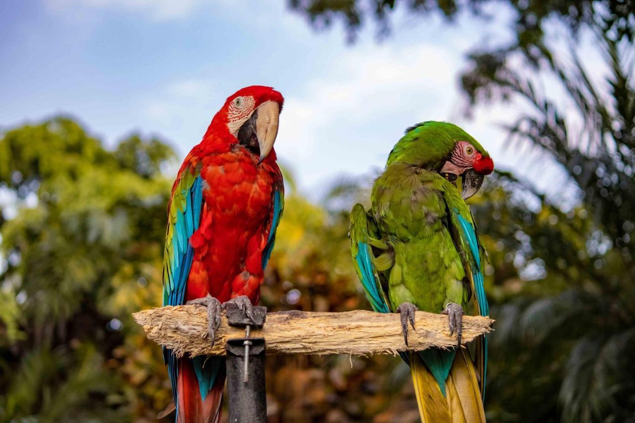 Las Mananitas Cuernavaca Zewnętrze zdjęcie
